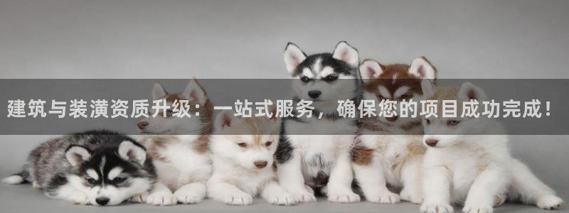 娱乐新航线