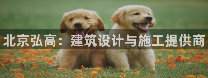 南京新航娱乐会所地址