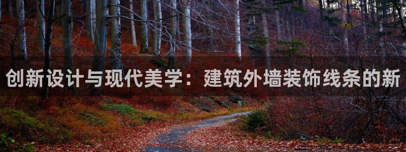 新航娱乐观
