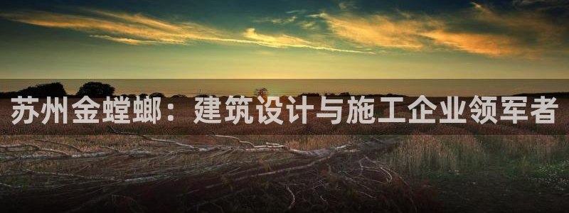新航娱乐公司问题