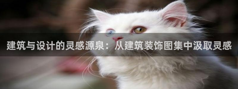新航娱乐官网入口