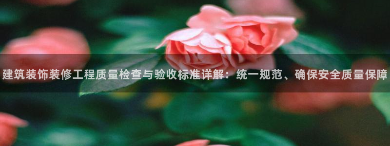新航文化娱乐传媒