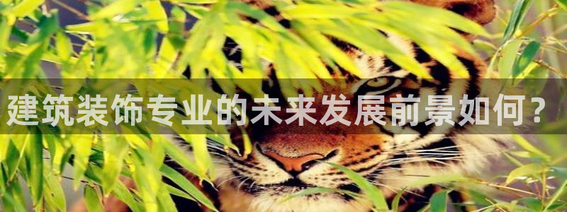 新航文化娱乐传媒