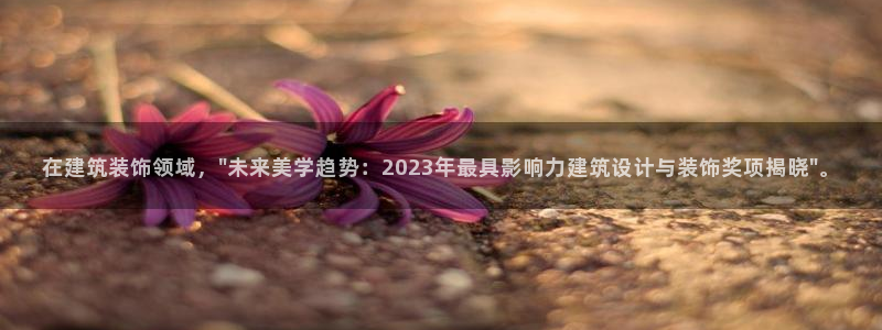 新航娱乐是干嘛的
