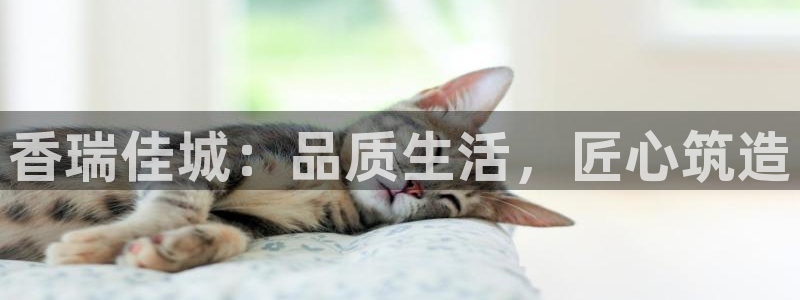 新航面试娱乐