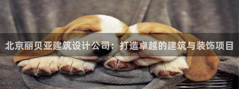 新航佳苑娱乐