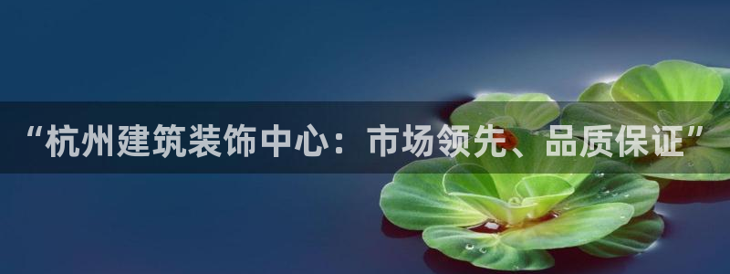 新航佳苑娱乐