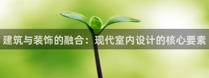 新航娱乐入新航娱乐怎么样