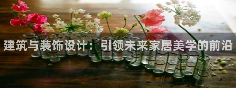 新航娱乐公司