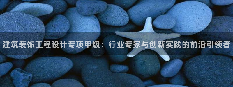 新航娱乐公司旗下艺人