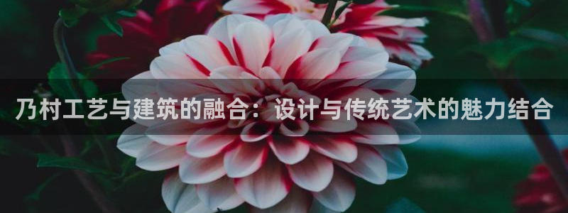 新航海娱乐会所
