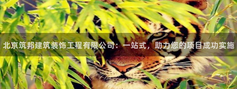 新航娱乐传媒招聘