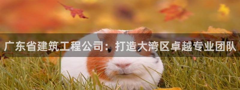 打造娱乐新航母