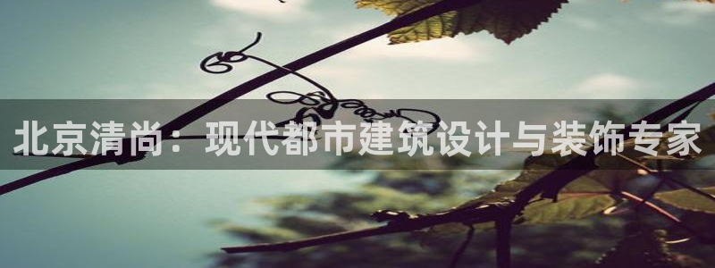 新航头等舱套房娱乐屏