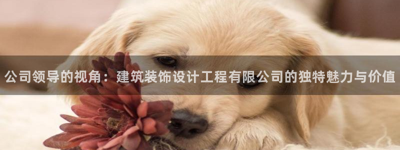 新航娱乐