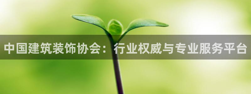 新航娱乐的创始人简介