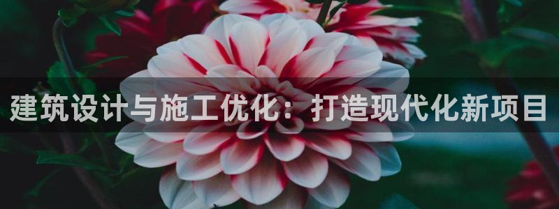 新航娱乐开户