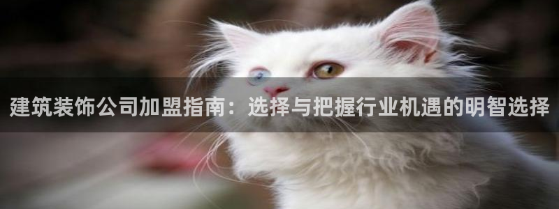新航娱乐
