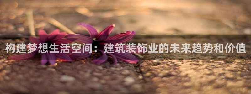 新航娱乐官方网站入口