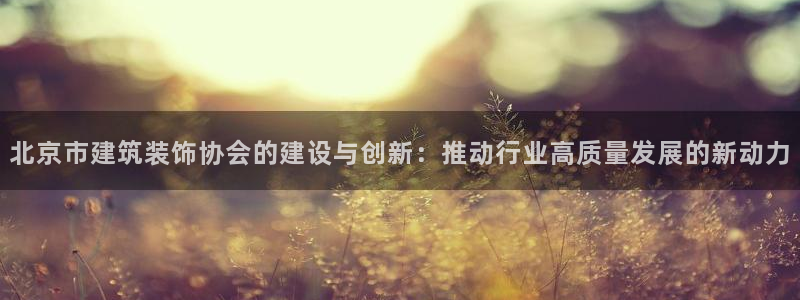 新航娱乐传媒怎么样