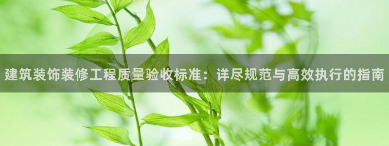 邯大新航娱乐