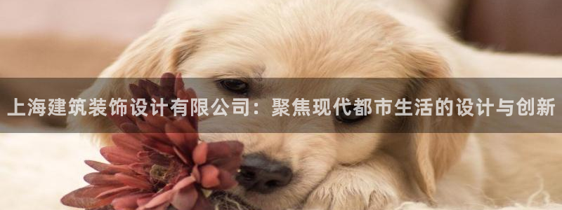 新航娱乐设施