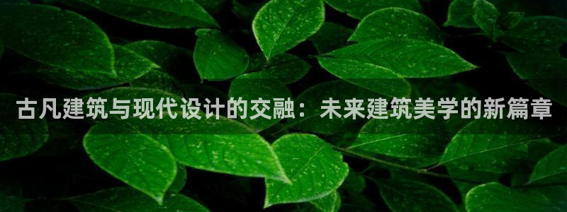 新航娱乐安卓版下载