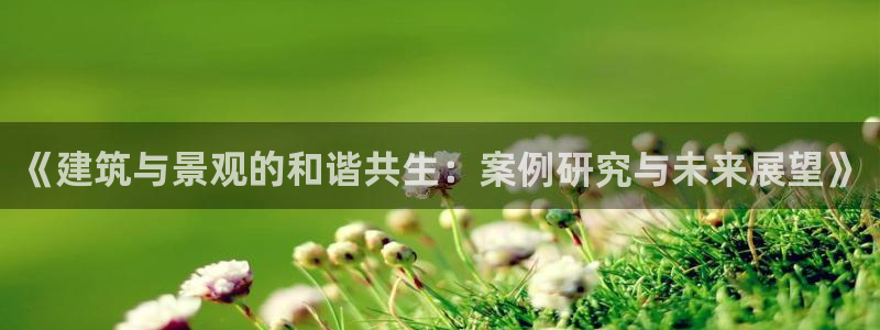新航娱乐传媒招聘电话