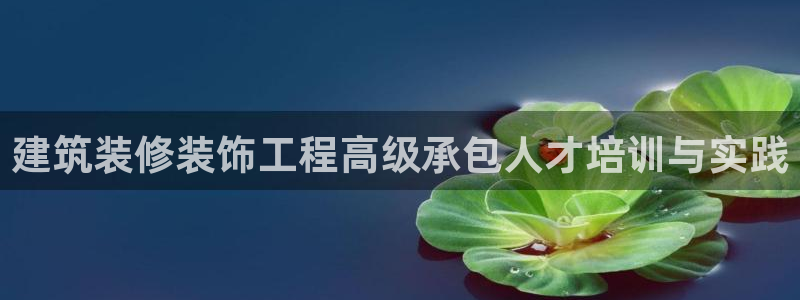 新航文化娱乐传媒