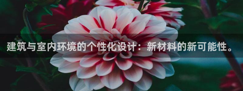 新航海娱乐会所