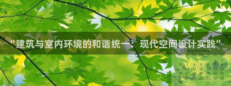 新航新客舱机上娱乐银