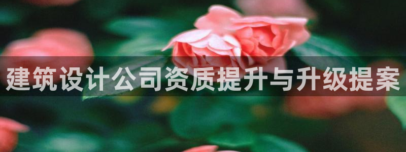 新航娱乐传媒招聘信息