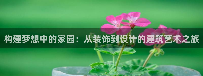 新航娱乐平台