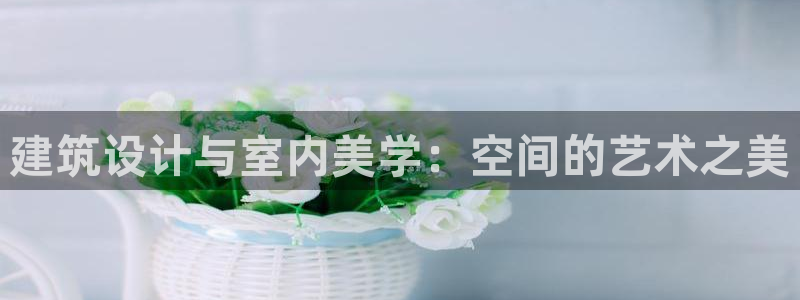 新航娱乐官方
