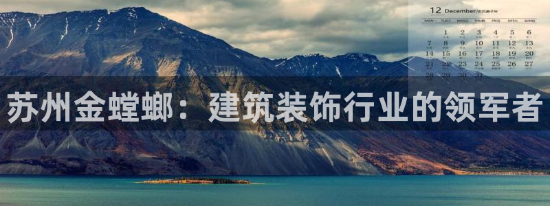 新航娱乐观