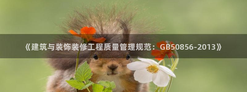 新航娱乐官网登录