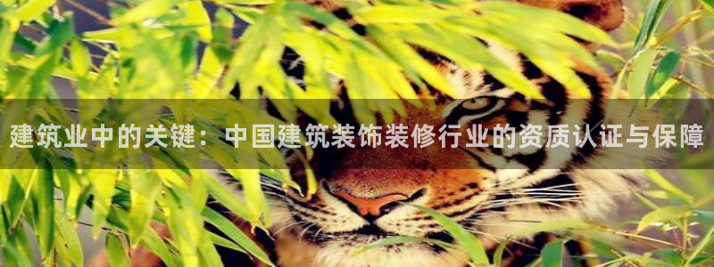 新航文化娱乐传媒怎么样