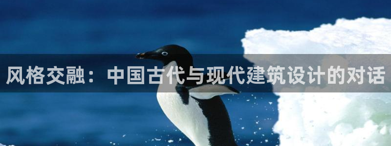 新航 娱乐系统