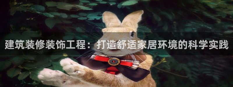 新航娱乐公司问题解决