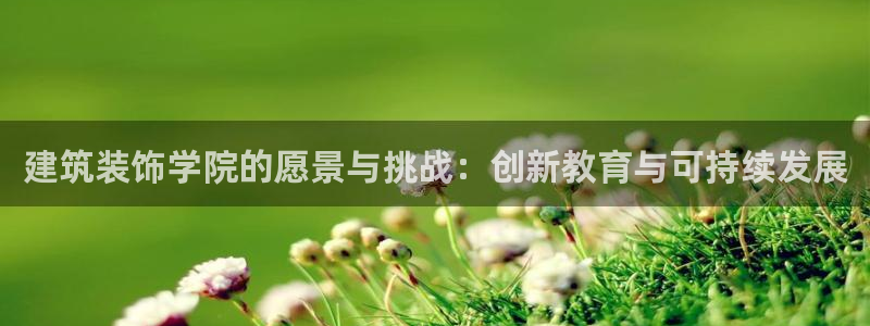 新航娱乐入网要求