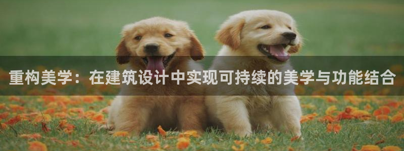 岛城娱乐新航向