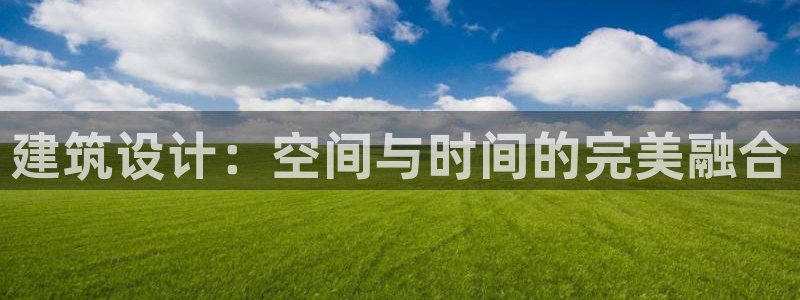 新航娱乐公司问题解决