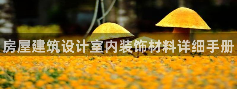 萧山娱乐新航母阿里巴巴