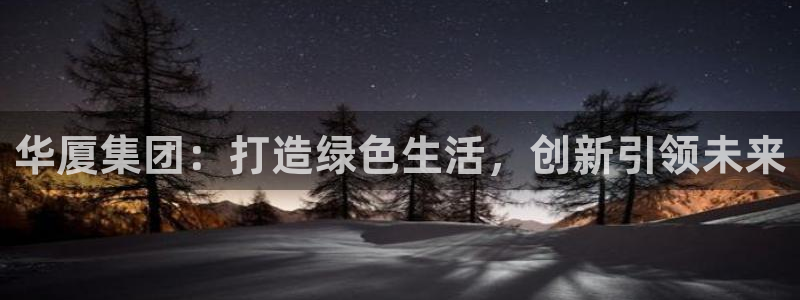 新航新客舱机上娱乐银