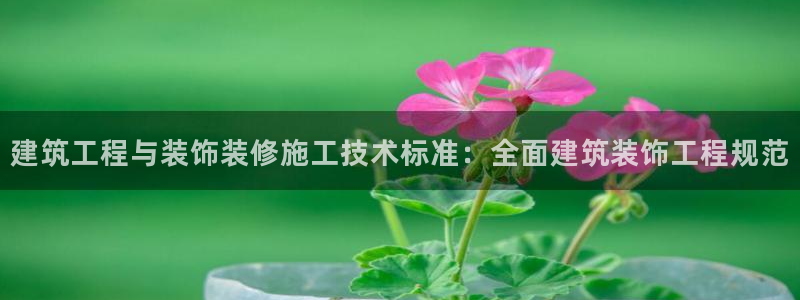 新航娱乐公司地址电话