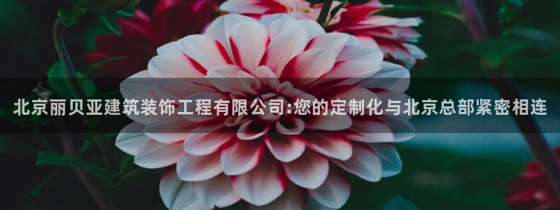 新航娱乐官网登录入口