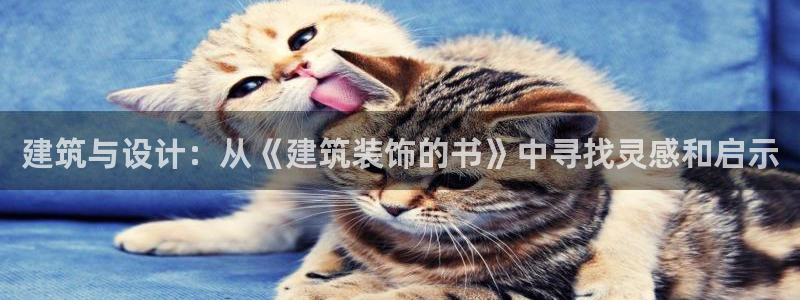 新航文化娱乐传媒招聘