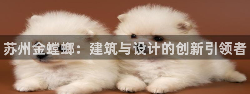 新航娱乐怎么开户