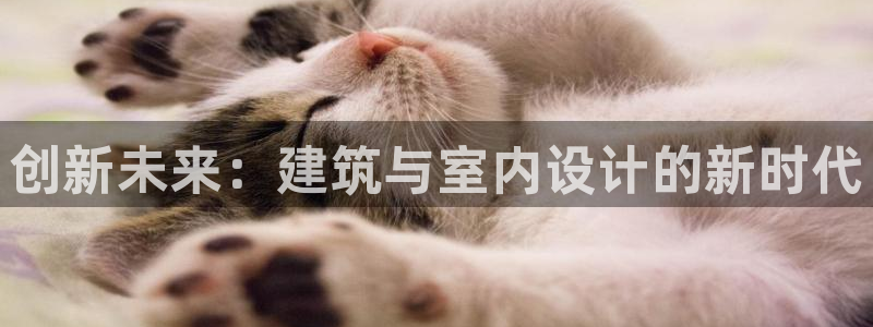 新航娱乐app下载地址