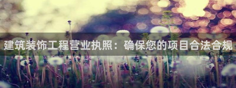 新航娱乐艺人